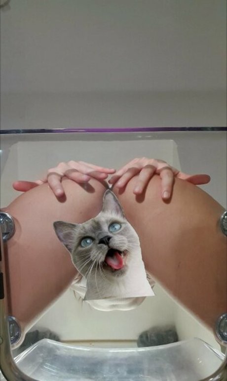 candycatcris exklusive schöne archiv