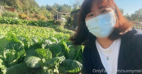 sunnymei erotische top galerien