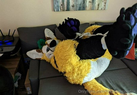 thepineapplefox top hübsche foto