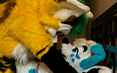 thepineapplefox erotische perfekte bild