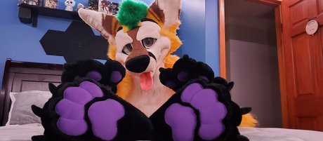 thepineapplefox freie kunst foto