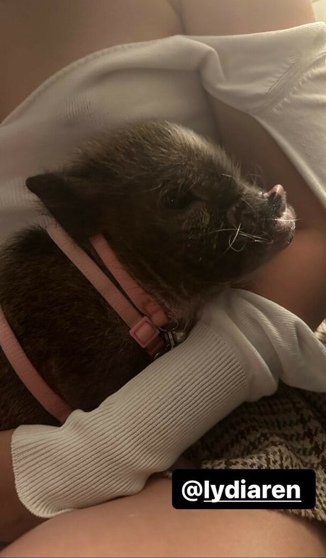 Lydiaren sexy xxx foto