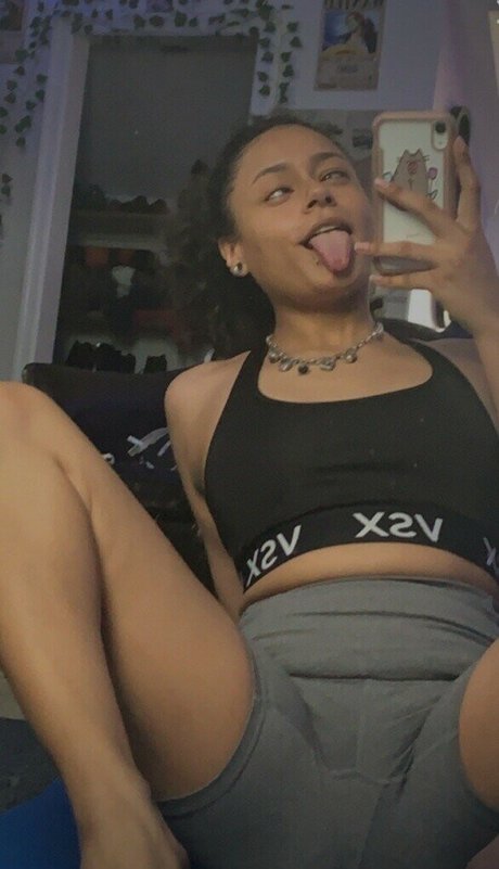 Hellazebra perfekte schöne galerien