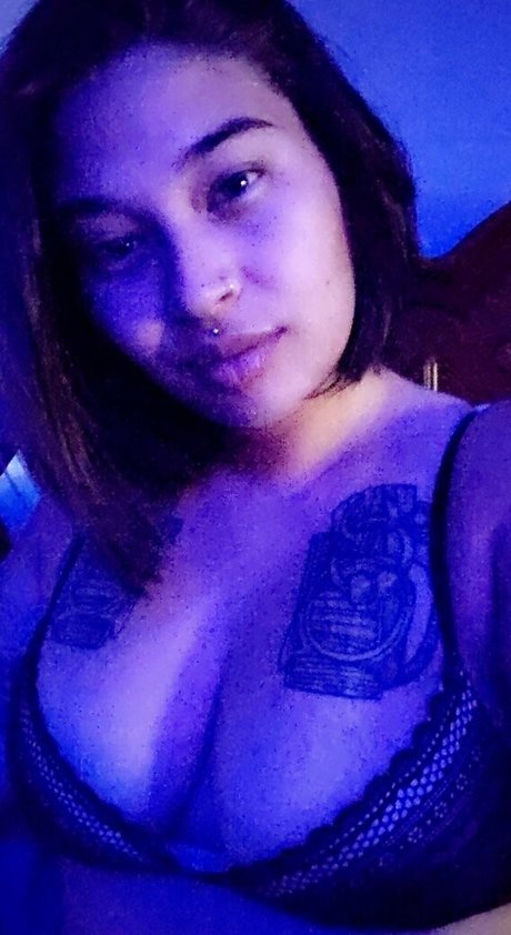 panda pop10 kostenlose schöne archiv