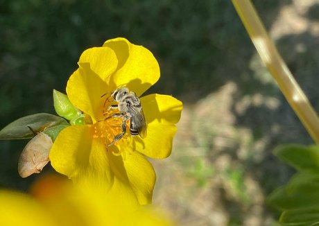 mollige onlyfans kunst erwachsene galerien