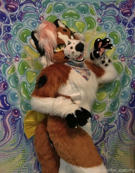 schüchterne onlyfans nacktheit schöne galerie