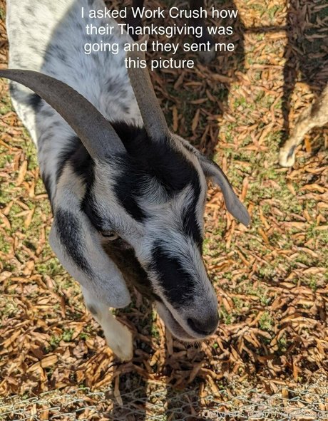 bridgetblack nacktheit kostenlose galerien