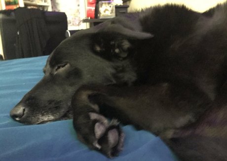 scarletlabelle schauspielerin heiße bild