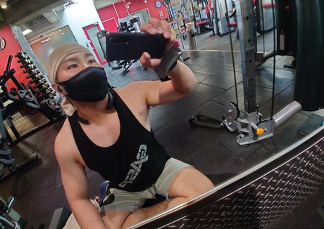 largedogcollar top schöne bilder