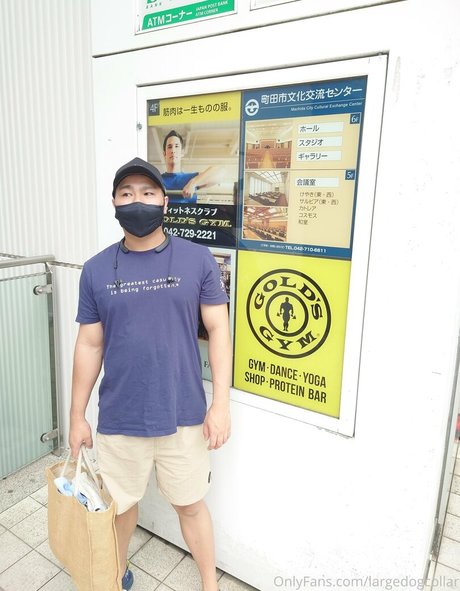 largedogcollar nackten pornostar foto