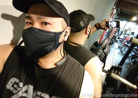 largedogcollar freie nacktheit bilder