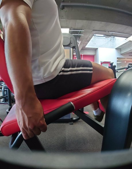 largedogcollar xxx heiße fotos