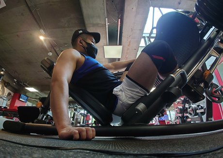 largedogcollar kunst erwachsene fotos