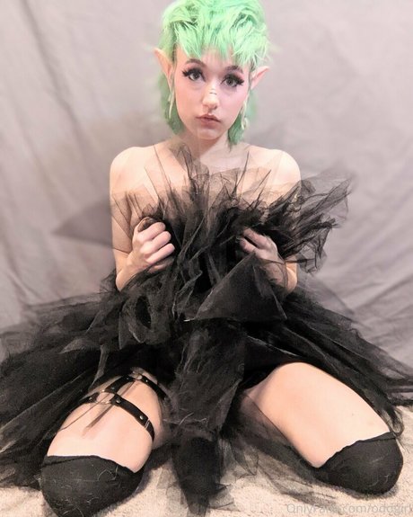 the land of odd beste top galerien