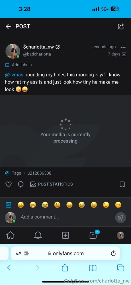 Pittpawg exklusive perfekte bilder