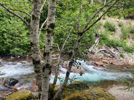 Exotic X Bunny nacktheit freie bilder