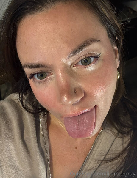 Lilarosegray top kunst bild