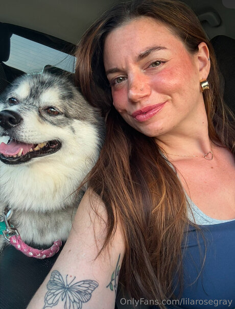 Lilarosegray nette archiv