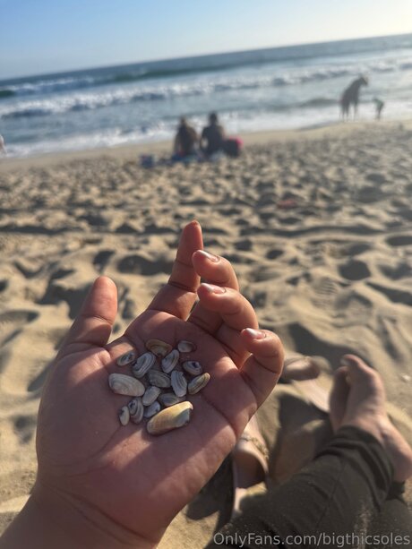 Bigthicsoles schöne archiv