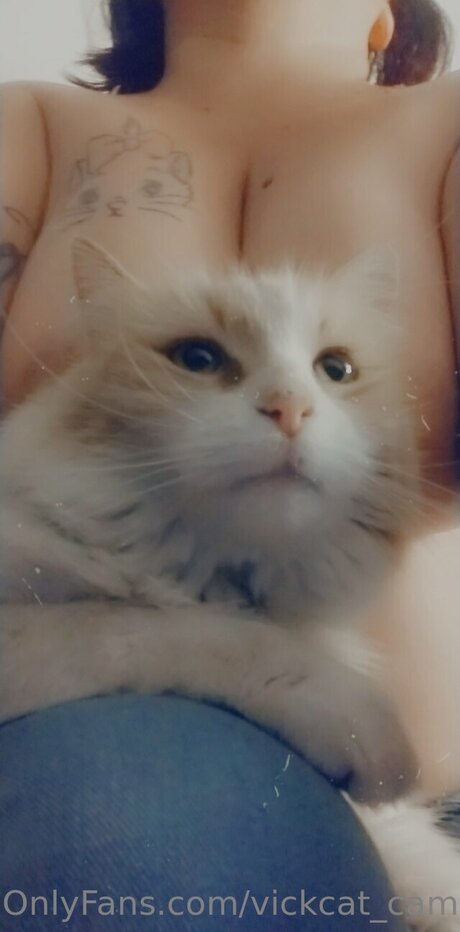 Vickcat Cam perfekte schöne galerie