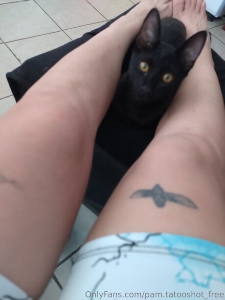 Pam Tatooshot Free kostenlose bild
