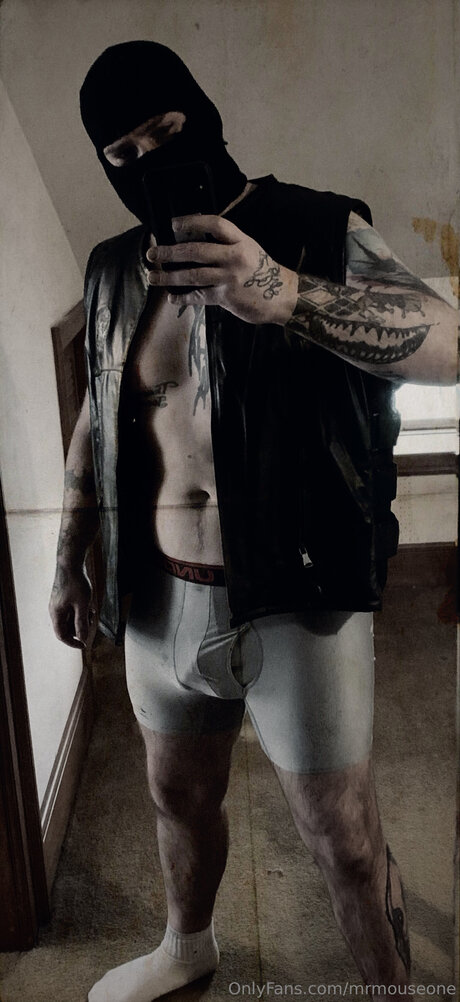 Mrmouseone erwachsene freie bilder