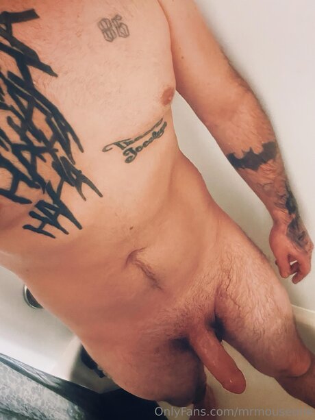 Mrmouseone erwachsene perfekte bild