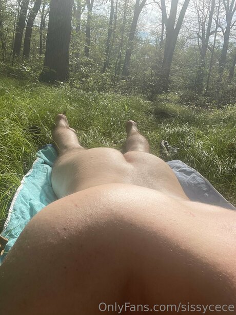 Sissycece hübsche perfekte foto