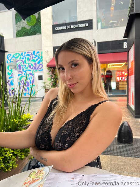 Laiacastro perfekte kunst archiv