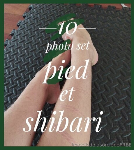 Poilsdesorcier Efree perfekte freie foto