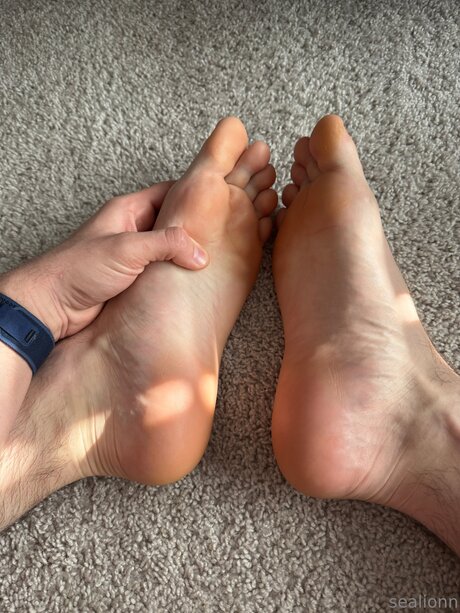 Emsealion schöne heiße bild