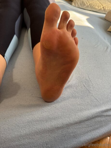 Bigfeetstudio kostenlose nette bilder