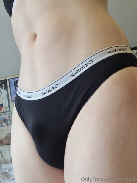 Fembii1 top akt archiv