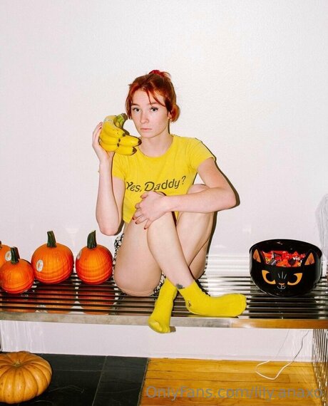 Lily Anaxo schöne perfekte galerie