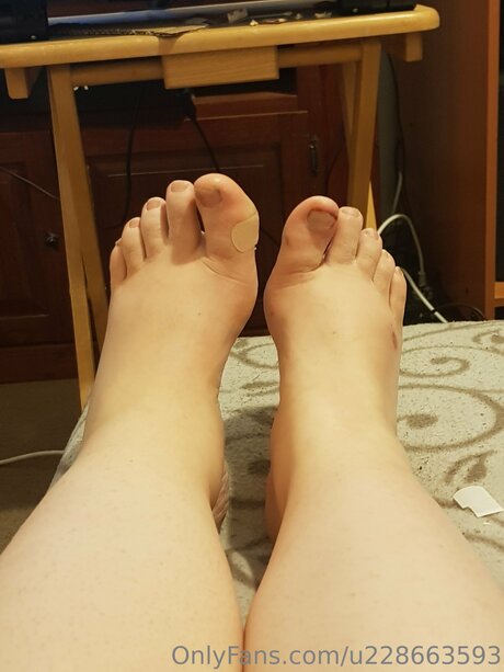 U228663593 kunst top fotos