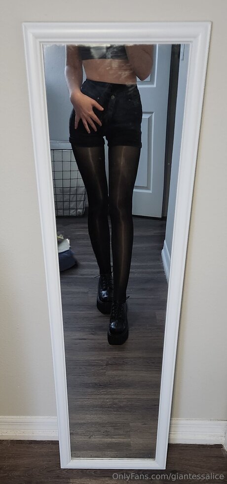 Giantessalice perfekte freie galerien