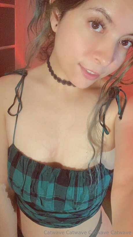 Catwave kostenlose heiße galerie