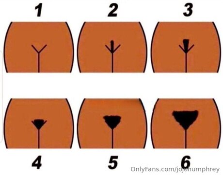 Jojohumphrey perfekte kostenlose archiv