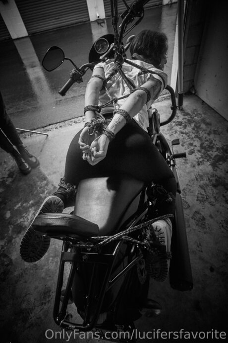 Lucifersfavorite schöne galerien