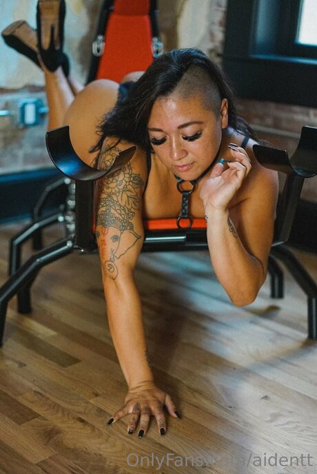 Taelorgang porno top archiv