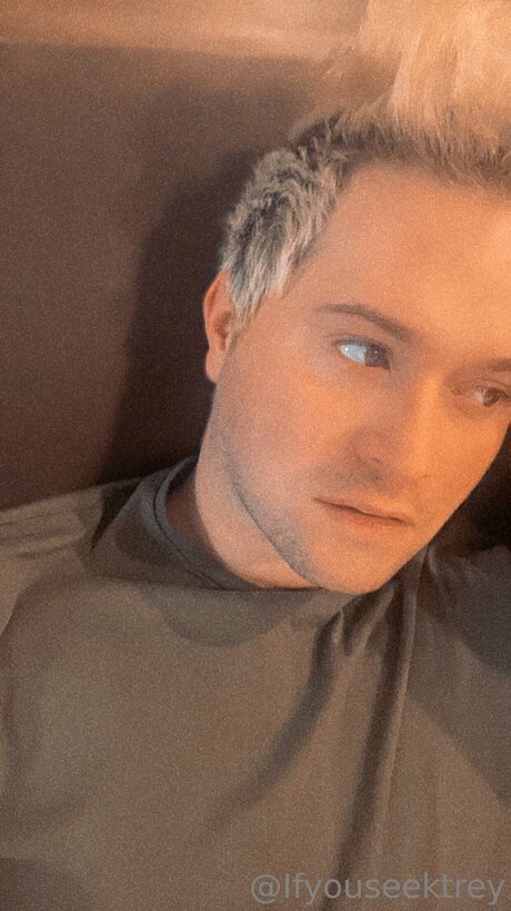 Ifyouseektreyfree freie perfekte galerien