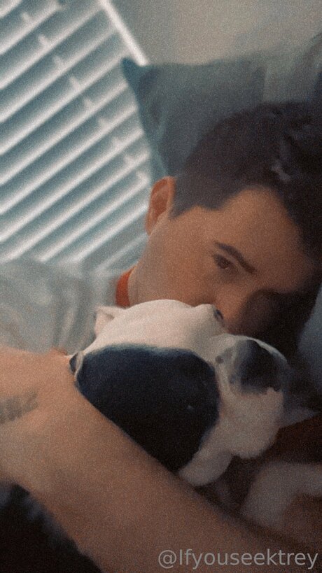 Ifyouseektreyfree erwachsene pornostar galerien