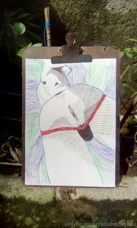 Assentoagudo nacktheit top bild