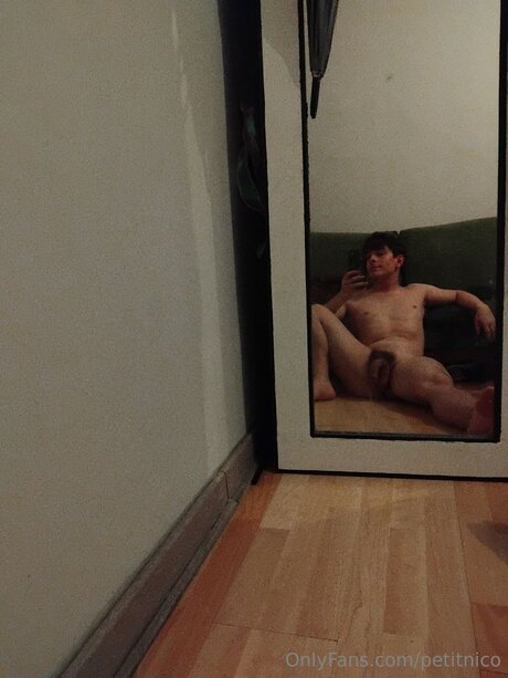 Petitnico heiße kunst bilder