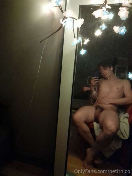 Petitnico exklusive pornographische galerien