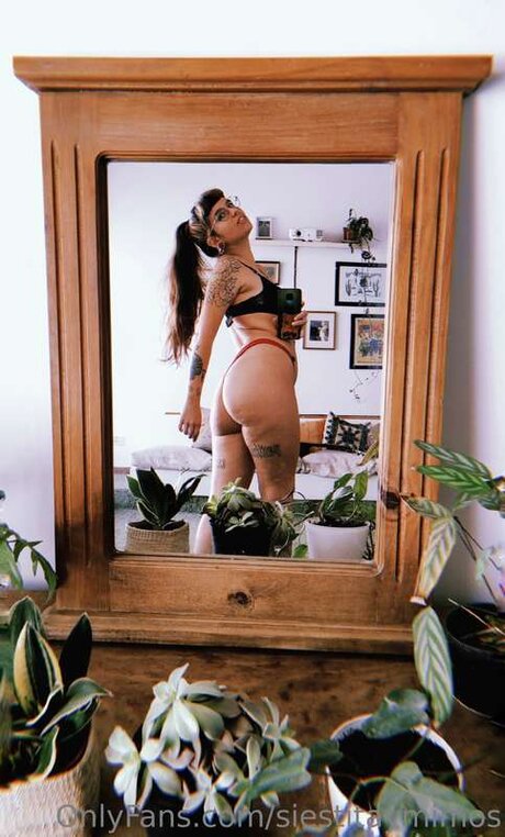 Siestitaymimos schöne nackt bilder