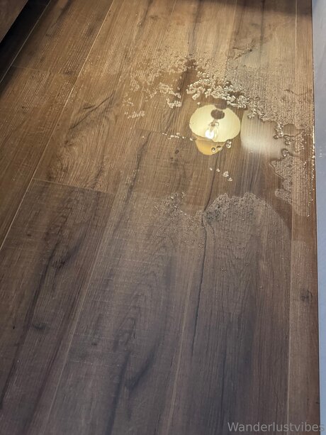 Wanderlustvibes hübsche pornographische fotos