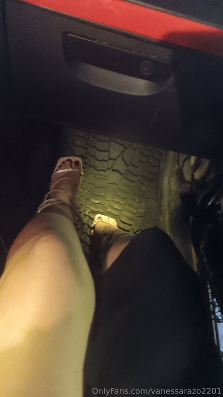 Vanessarazo2201 model nackte galerien