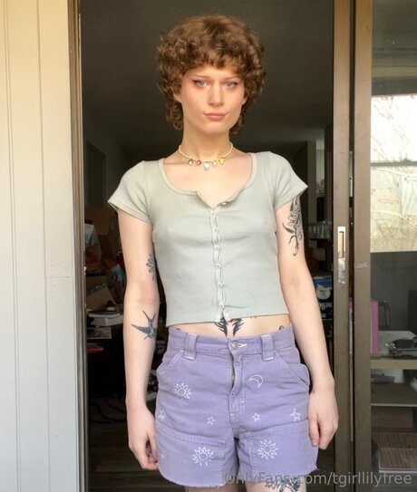 Tgirllilyfree erwachsene exklusive galerien