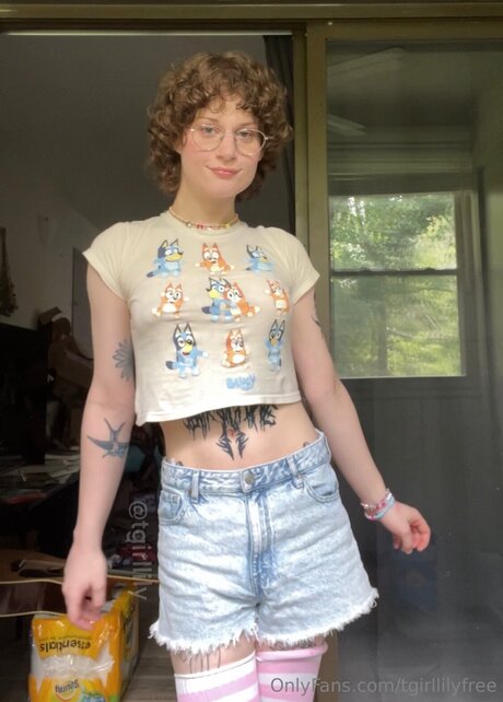 Tgirllilyfree hd kostenlose galerien